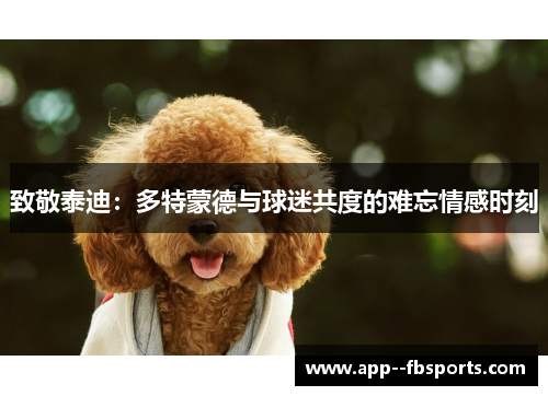 致敬泰迪：多特蒙德与球迷共度的难忘情感时刻