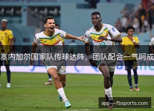 塞内加尔国家队传球达阵，团队配合一气呵成
